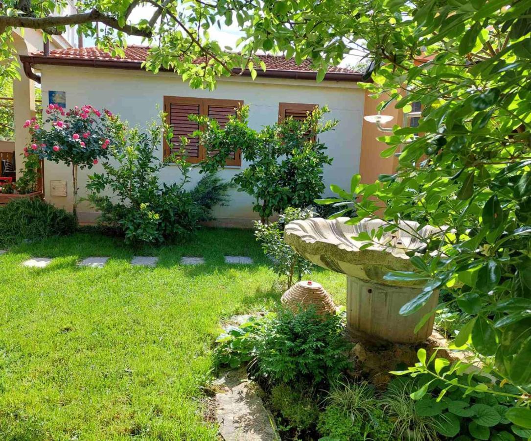 Adriatic Apartments Nada 法扎纳 外观 照片